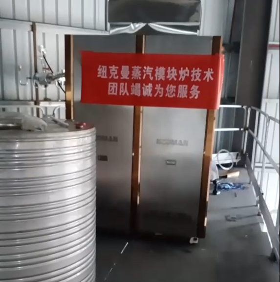 東莞某廠采購一臺紐克曼超低氮蒸汽模塊爐，設(shè)備已調(diào)試完畢!